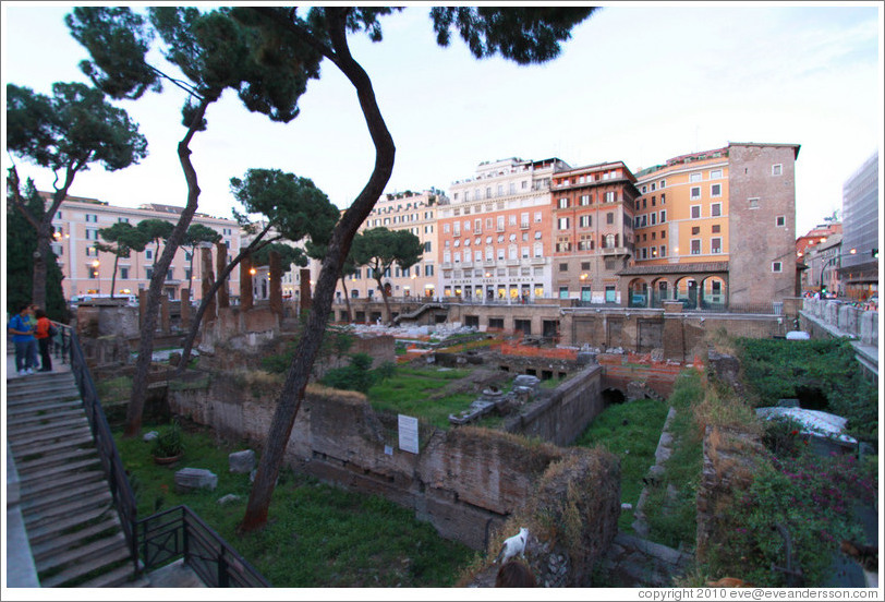 Largo di Torre Argentina.