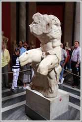 Belvedere Torso, Room of the Muses, Vatican Museums.