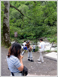 Cellphone photographers.  Daisetsuzan National Park.  Hokkaido.