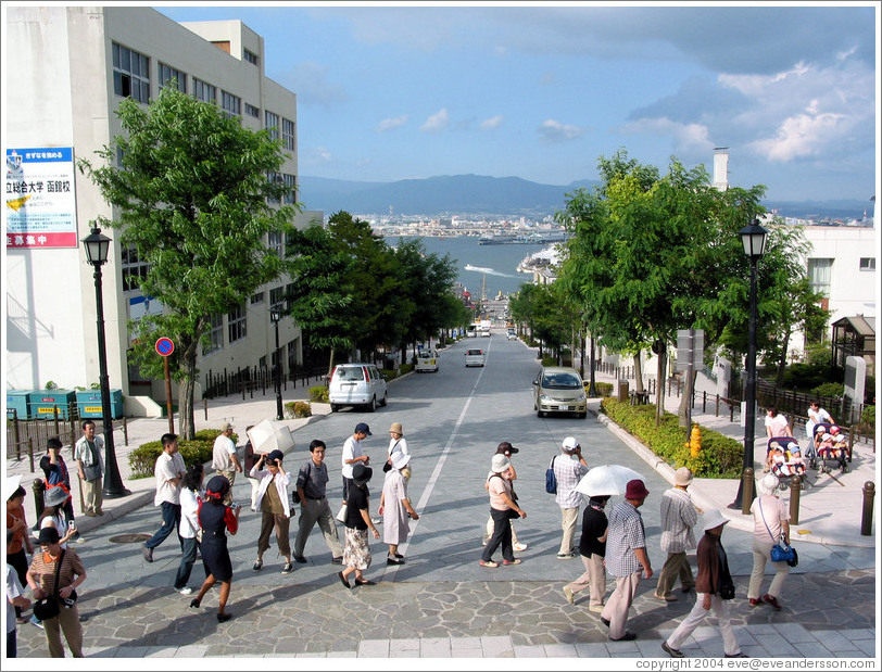 Tourists on street overlooking bay.