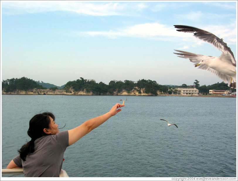 Girl feeding seagull.