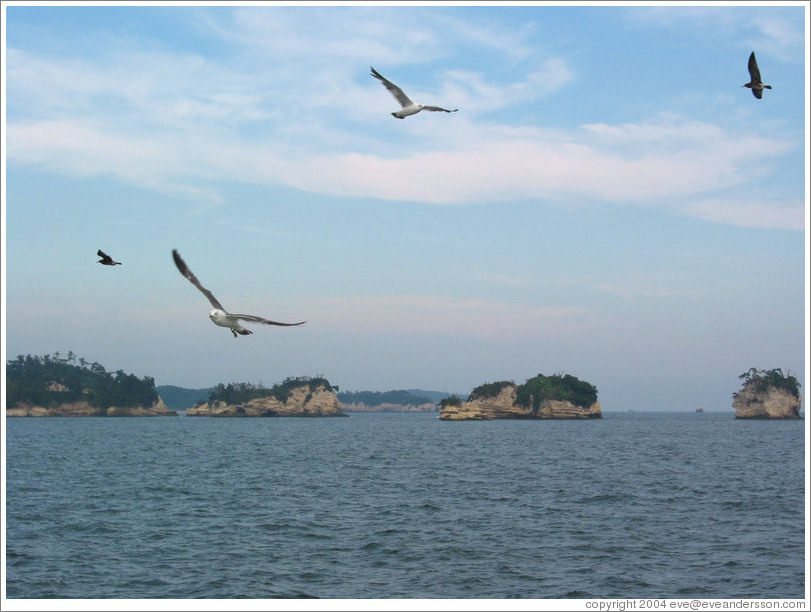 Islands off coast of Matsushima.