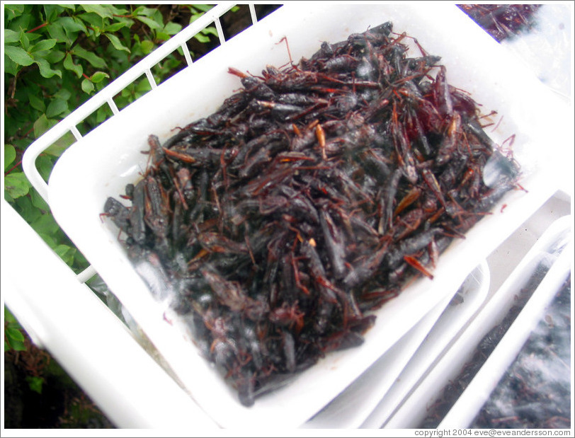 Grasshoppers for sale at Kegon Falls.