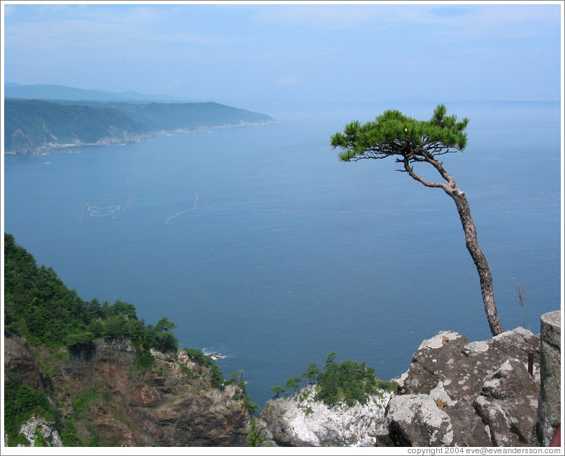 Honshu Coast