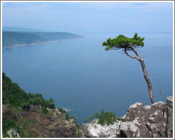 East coast of Honshu at Rikuchu Kaigan National Park.