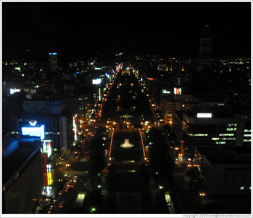 View from TV tower.