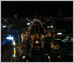 View from TV tower.