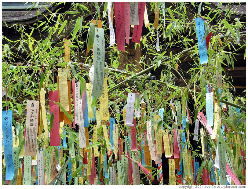 Prayers at Osaki Hachiman Shrine.