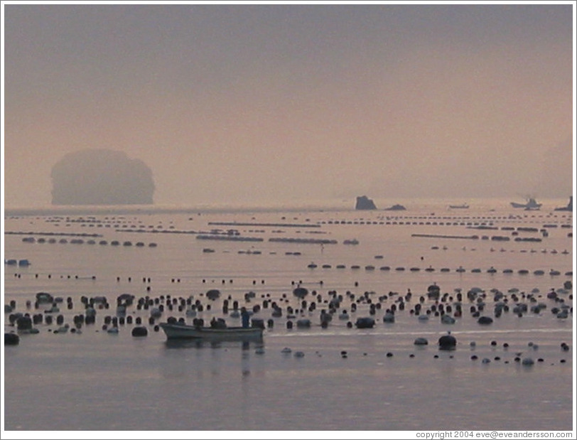 East coast of Honshu.