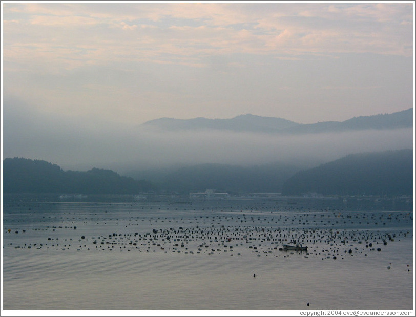 East coast of Honshu.