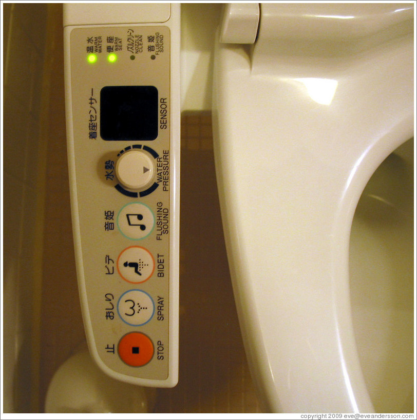 Toilet electronics.  You can wash, dry, and play muffling sounds with this toilet.