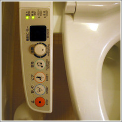 Toilet electronics.  You can wash, dry, and play muffling sounds with this toilet.