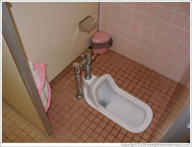 Squat toilet.