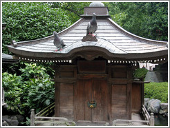 Senso-ji Temple.  Pigeons.