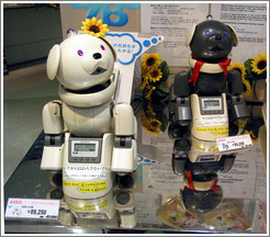 Sony Showroom.  Robots.
