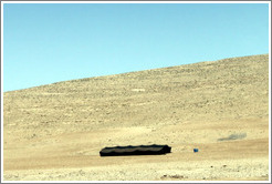 Bedouin tent made with black camel hair.