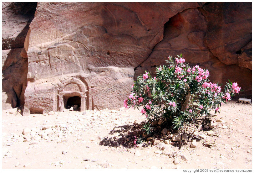 Pink flowers and votive niche.