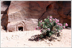 Pink flowers and votive niche.