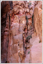 As-Siq, a narrow natural gorge.