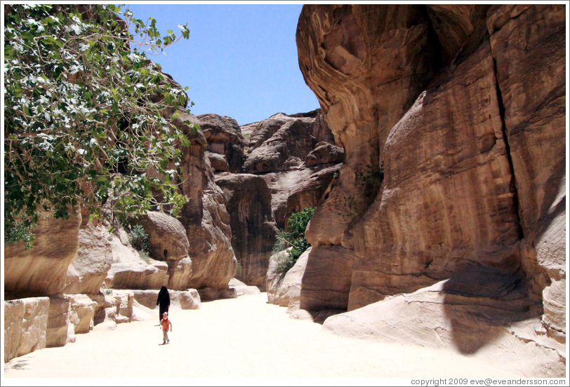 As-Siq, a narrow natural gorge.