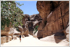 As-Siq, a narrow natural gorge.