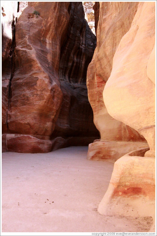 Pink and red rocks of As-Siq, a narrow natural gorge.