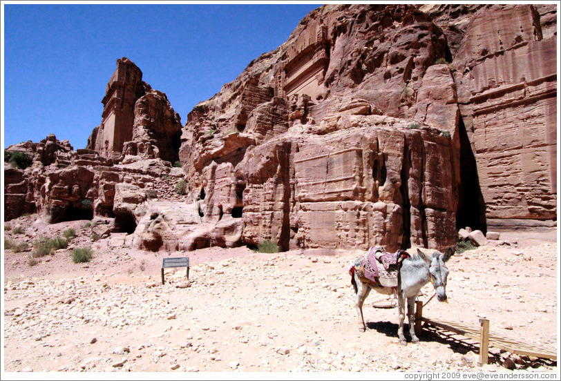 Donkey and Royal Tombs.