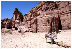 Donkey and Royal Tombs.