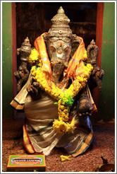 Elephant, Batu Caves.