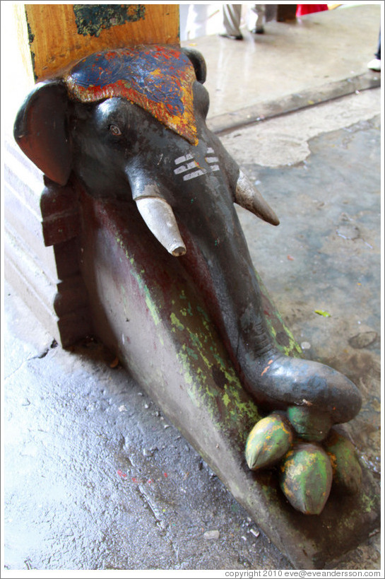 Elephant, Batu Caves.