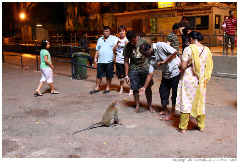 People feeding monkey, Batu Caves.