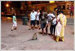 People feeding monkey, Batu Caves.