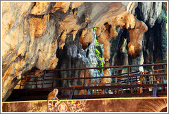 Monkey under stalactites, Batu Caves.