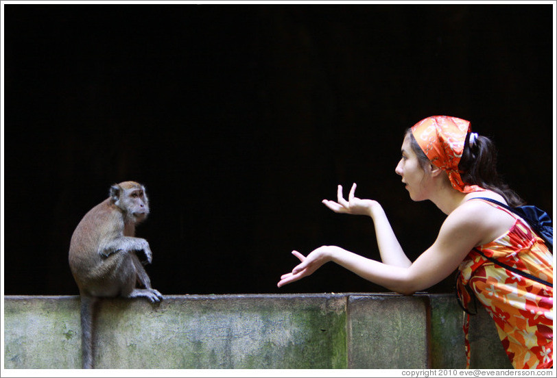 Monkey and girl conversing, Batu Caves.