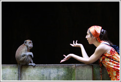 Monkey and girl conversing, Batu Caves.