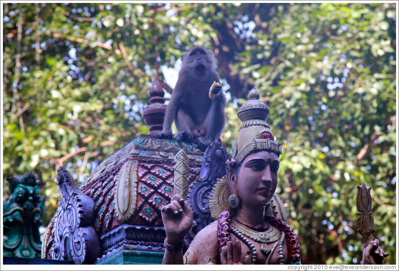 Monkey sitting above statue, stairway, Batu Caves.