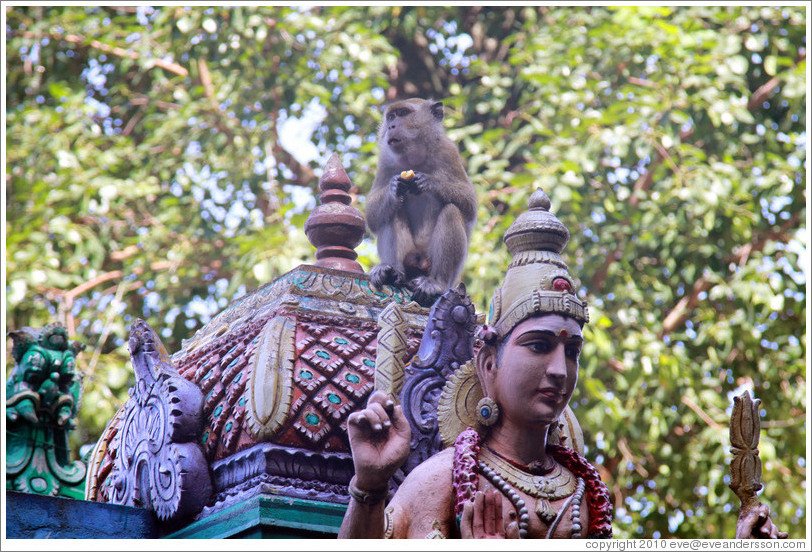 Monkey sitting above statue, stairway, Batu Caves.