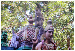 Monkey sitting above statue, stairway, Batu Caves.