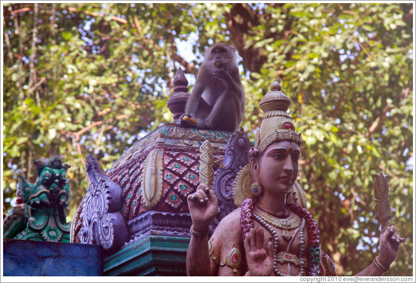 Monkey sitting above statue, stairway, Batu Caves.