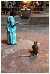 Woman and monkey, Batu Caves.