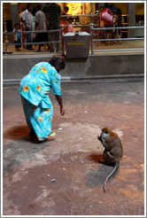 Woman and monkey, Batu Caves.