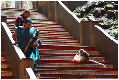 Women avoiding monkey who has just stolen someone's bag of food, Batu Caves.