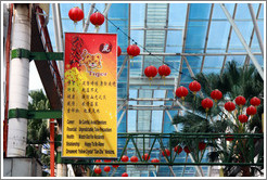 Sign displaying the qualities of people born in the year of the Tiger (generally negative), Jalan Petaling (Petaling Street), Chinatown.