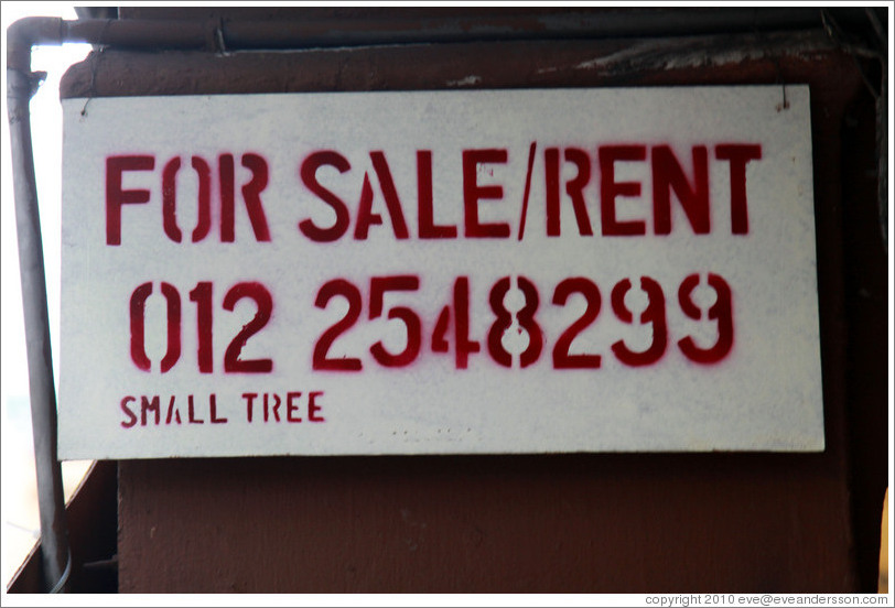 For sale/rent, small tree.  Jalan Tun HS Lee.