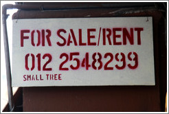 For sale/rent, small tree.  Jalan Tun HS Lee.