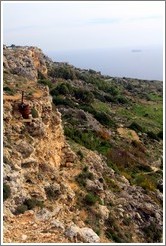 Dingli Cliffs, with Filfla visible in the background.