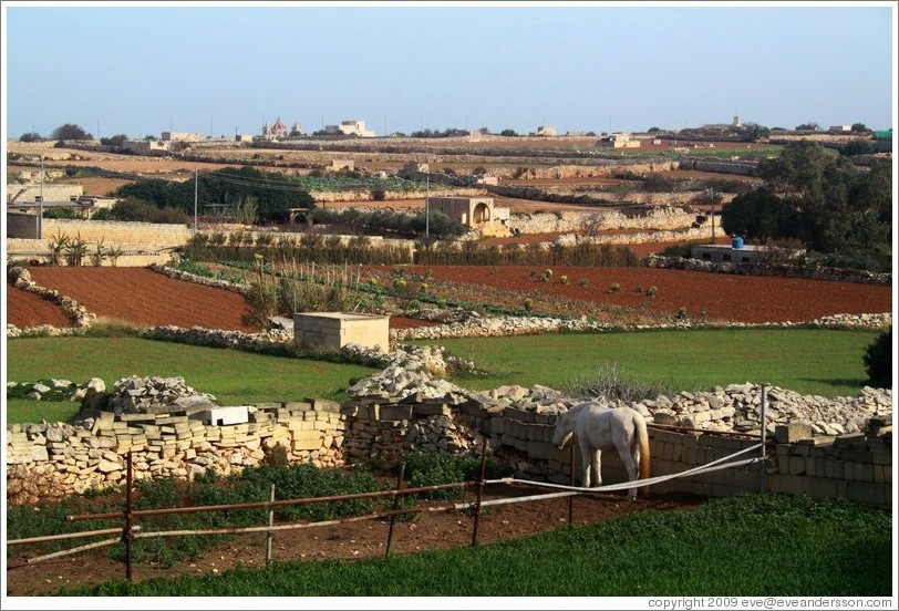 Northward view from &#294;a&#289;ar Qim.