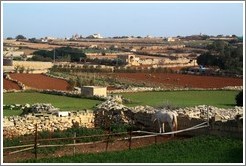 Northward view from &#294;a&#289;ar Qim.