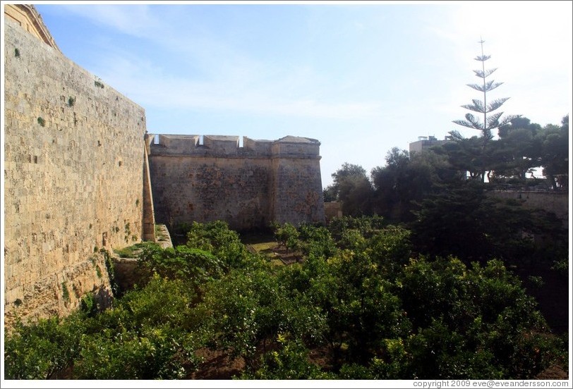 Moat around the city walls.