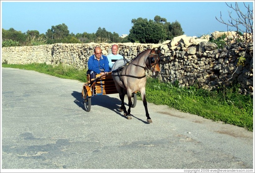 Men riding in a horse-drawn cart.